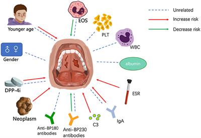 Risk Factors for Mucosal Involvement in Bullous Pemphigoid and the Possible Mechanism: A Review